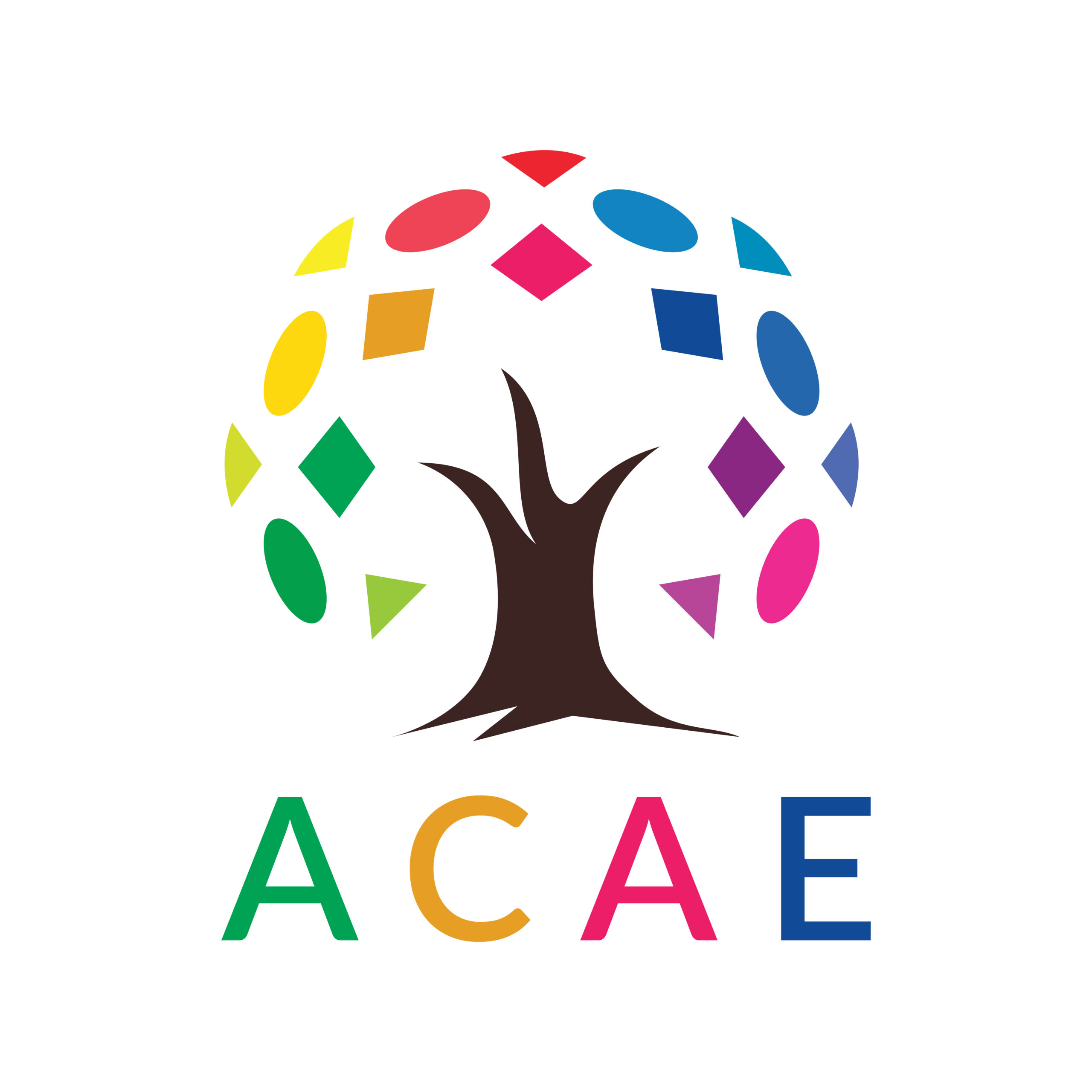 A scaled-up color logo of ACAE.