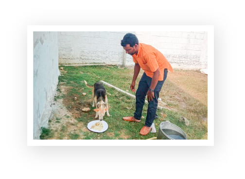 An ACAE volunteer feeding a dog.