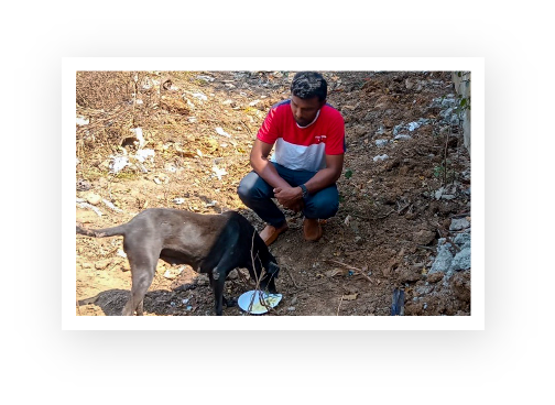 An ACAE volunteer feeding a dog.