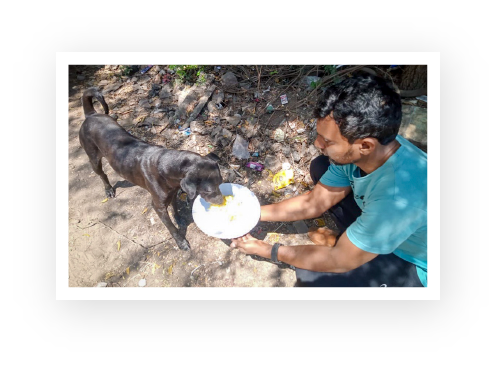 An ACAE volunteer feeding a dog.