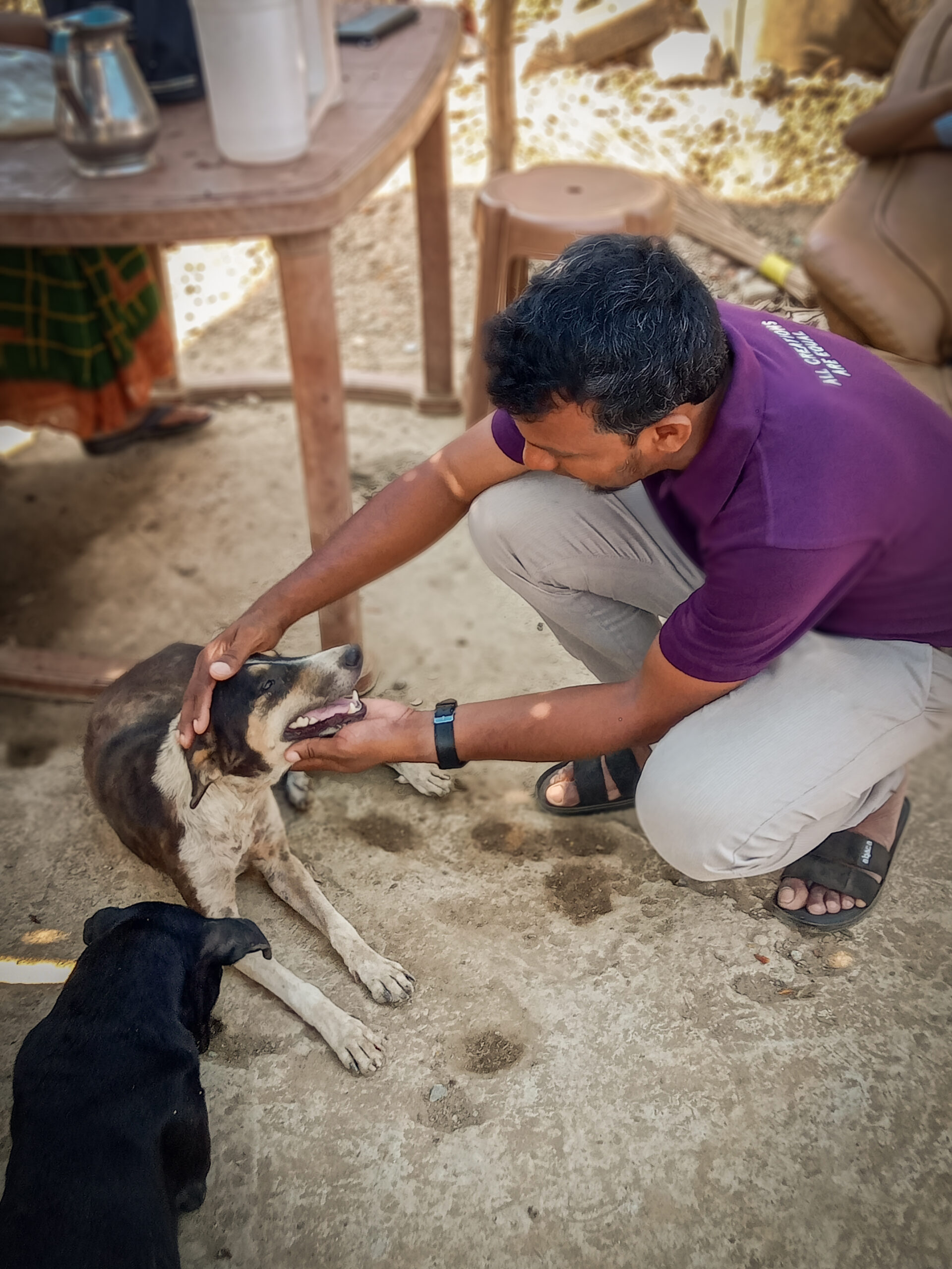 An ACAE volunteer caring for a dog.