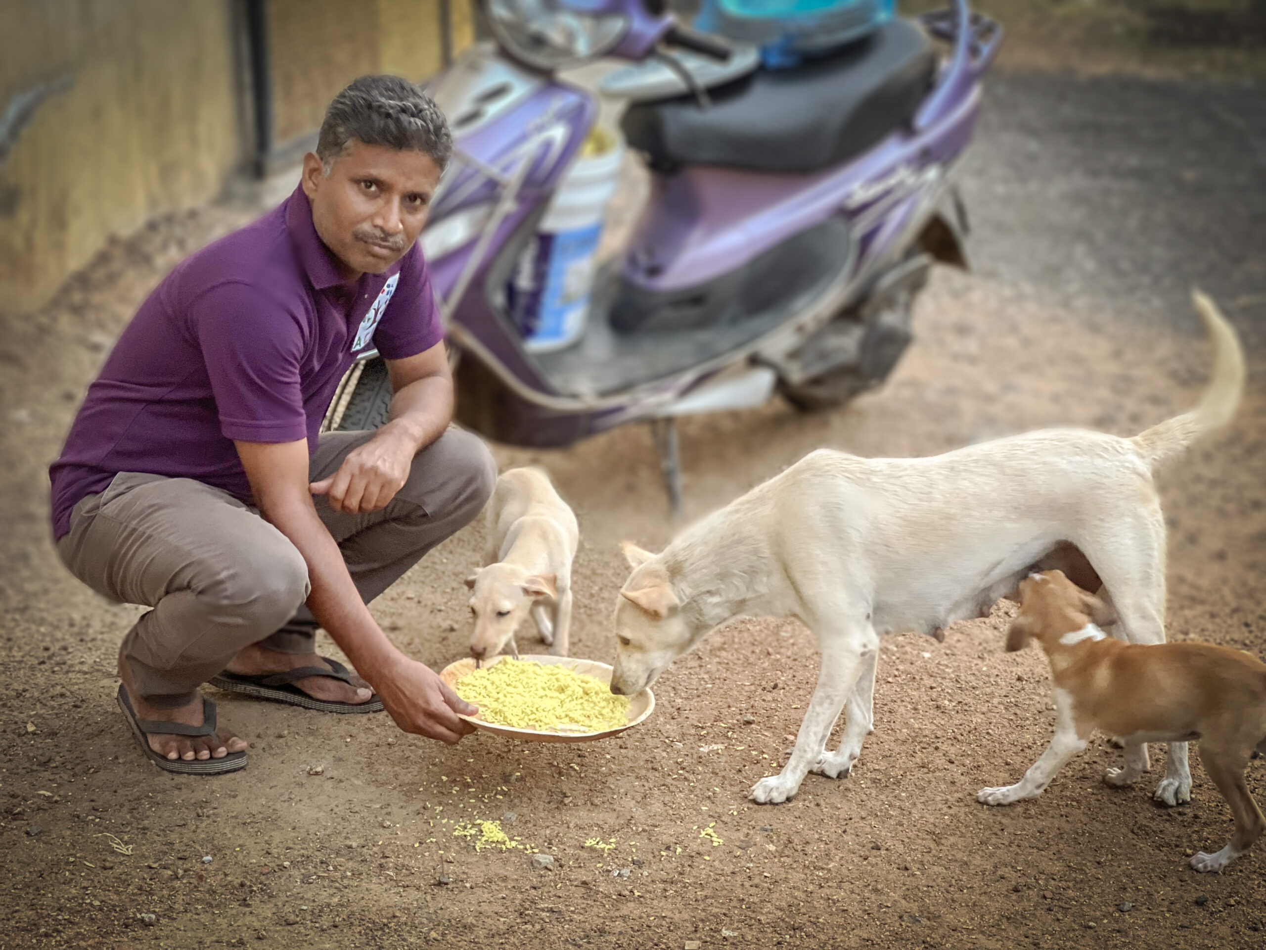 An ACAE volunteer feeding dogs.